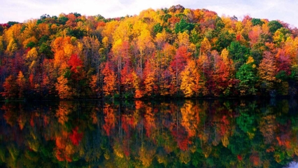 Fall IN West Virginia